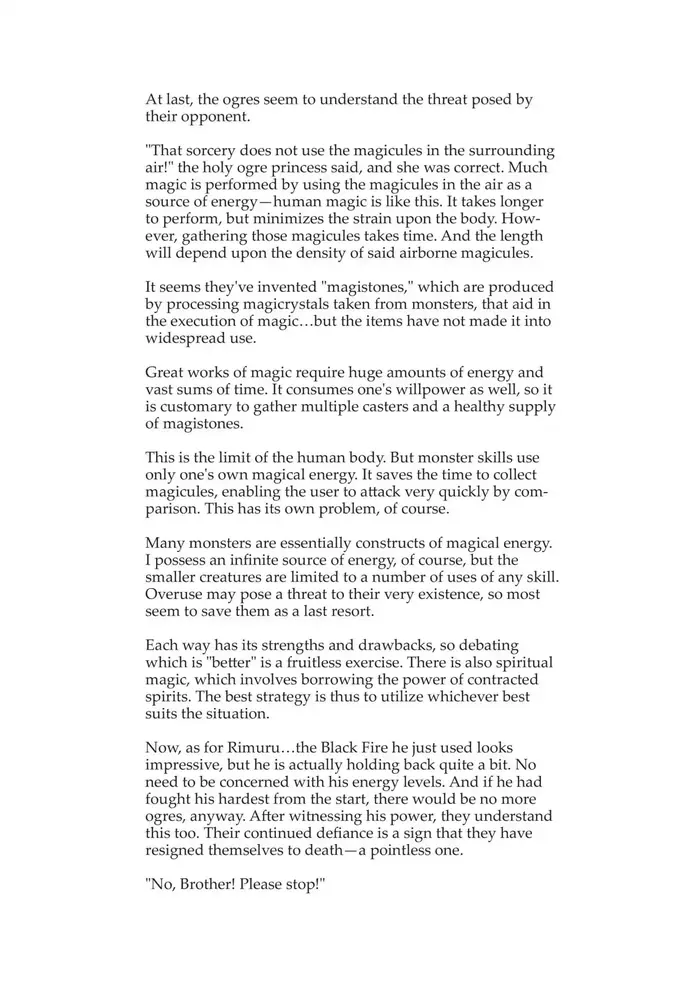 That Time I Got Reincarnated as a Slime Chapter 17.5 image 08_optimized